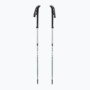 Trekkingstöcke LEKI Makalu FX TA silver/greygreen/white