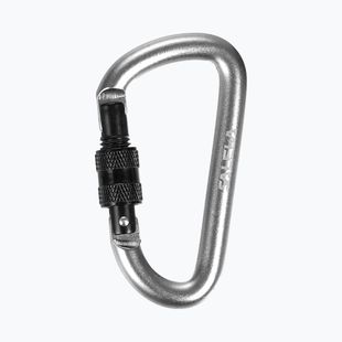Salewa D-Shape Carbiner mit Schraube silber 00-0000034102