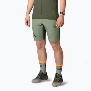 Herren DYNAFIT Transalper Light Dynastretch Salbei-Trekking-Shorts