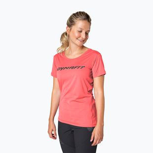 DYNAFIT Traverse 2 cabana Damen-Trekking-Shirt