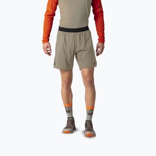 Herren-Laufshorts DYNAFIT Alpine Pro 2IN1 fallen rock