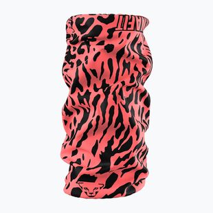 Multifunktionstuch DYNAFIT Graphic Cabana/Leopard