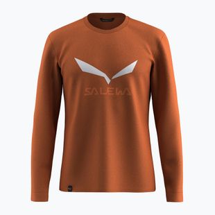 Herren-Longsleeve Salewa Solidlogo Dry bombay brown