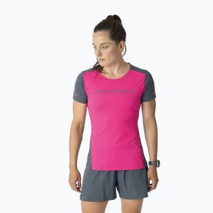 Laufshirt Damen DYNAFIT Alpine 2 Tee pink glo