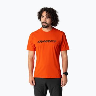 Herren-Trekking-T-Shirt DYNAFIT Traverse alabama