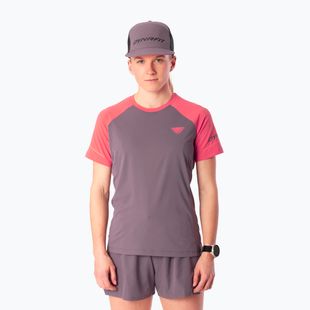 Damen-Laufshirt Dynafit Alpine Pro SS Tee cabana/6A90