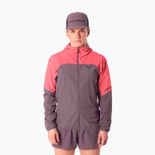 Damen-Laufjacke DYNAFIT Alpine Wind cabana ephemera/6a90