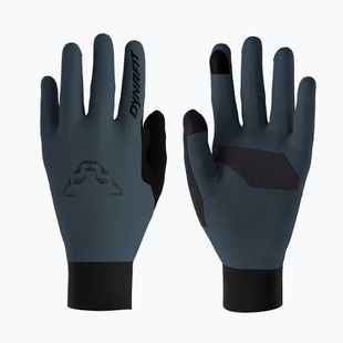 Skitourenhandschuhe DYNAFIT Blacklight Polartec Alpha cinder
