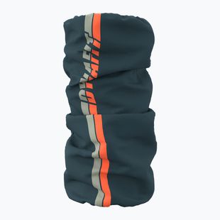 Multifunktionstuch Dynafit Graphic Neck Gaiter cinder/4880 stripes
