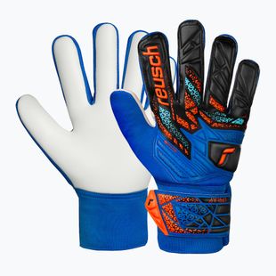 Torwarthandschuhe Kinder Reusch Attrakt Starter Solid Junior electric blue/shocking orange