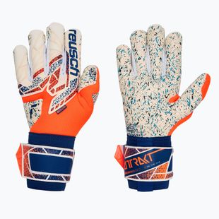 Torwarthandschuhe Reusch Attrakt Fusion shocking orange/energize blue