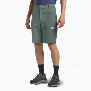 Trekking Shorts Herren Jack Wolfskin Hikeout slate green
