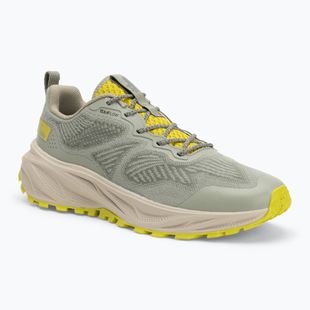 Wanderschuhe Herren Jack Wolfskin Prelight Swift Pro Vent Low chartreuse