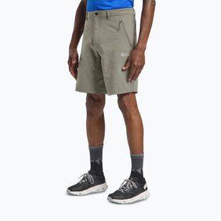Trekking Shorts Herren Jack Wolfskin Pico Trail stone