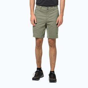 Jack Wolfskin Activate Tour Herren-Trekking-Shorts grün 1507441