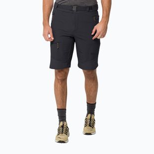 Jack Wolfskin Herren-Trekking-Shorts Ziegspitz grau 1508071_6350_052