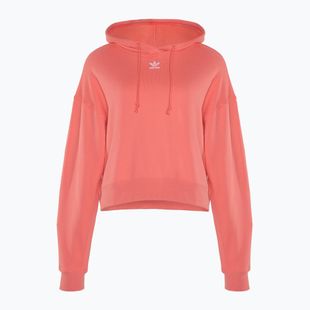 Damen adidas Sunflower Grafik Relaxed Fit semi turbo Sweatshirt