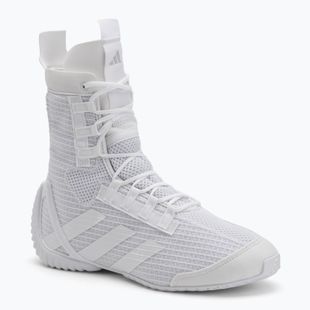 Boxen Schuhe adidas Speedex 23 Wolke weiß/Wolke weiß/grau ein