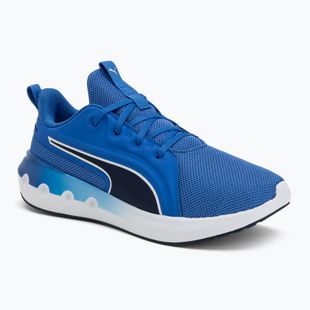 Laufschuhe PUMA PUMA Softride Carson vivid blue/puma navy