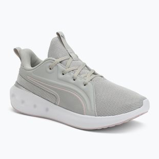 Laufschuhe PUMA PUMA Softride Carson cool light gray/rose mauve/puma silver