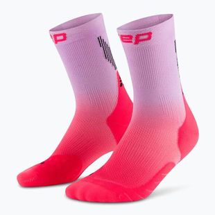 CEP Herren Kompressionssocken Run Edt. Gradient Mid Cut Compression 5.0 rosa/lila fade