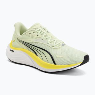 Herren Laufschuhe PUMA Electrify Nitro 4 green