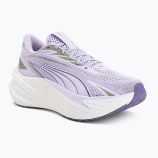 Laufschuhe Puma Maxima Pro light lavender/plum purple
