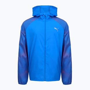 Laufjacke für Herren Puma Run Favorite Woven Jacket blue/fire orchid