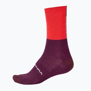 Fahrradsocken Endura Baa Baa Merino Winter pomegranate