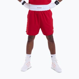 Herren-Trainingsshorts Boxraw Stevenson V2 red/white