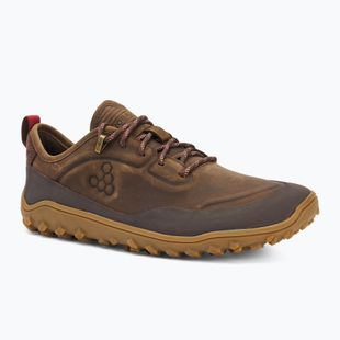 Barfußschuhe Barfoot Schuhe Herren Vivobarefoot Tracker Leather Low bracken