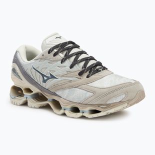 Mizuno Wave Prophecy LS nimbus cloud/magnet/silver cloud Schuhe