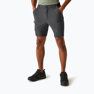 Trekking Shorts Herren REGATTA Travel Light Packaway ash