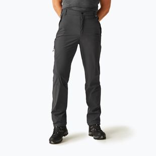 Herren-Trekkinghose REGATTA Travel Light Packaway ash