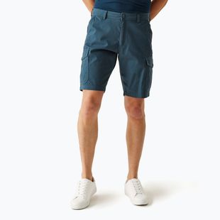 REGATTA Ruwan Mitternachts-Trekking-Shorts für Herren