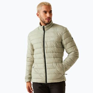 Daunenjacke Herren REGATTA Marizion abbeystone/nephrite green