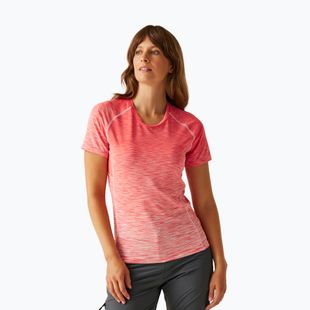 Damen REGATTA Laxley II Pfirsich Blüte ombre T-Shirt
