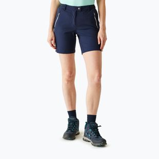 Damen-Trekking-Shorts REGATTA Mountain II navy