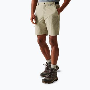 Trekking Shorts Herren REGATTA Travel Light Packaway golden sand