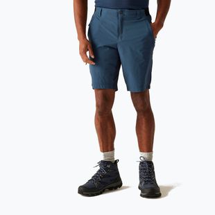 Trekking Shorts Herren REGATTA Eldes moonlight denim/navy
