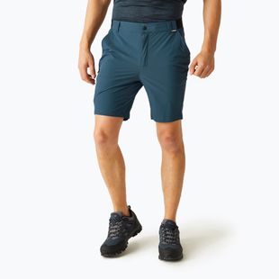 Trekking Shorts Herren REGATTA Leesville III moonlight denim