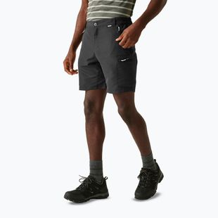 Trekking Shorts Herren REGATTA Leesville III ash