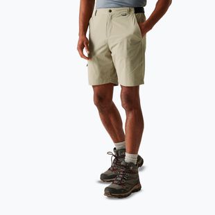 Trekking Shorts Herren REGATTA Leesville III golden sand