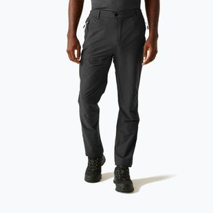 Herren-Trekkinghose REGATTA Highton II ash