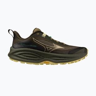 Laufschuhe für Damen Mizuno Neo Daichi 10 Gtx forest night/silver fern/beechnut