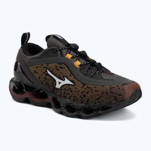 Schuhe Mizuno Wave Prophecy 13.2 Henna/Cloudscape/Black Oyster