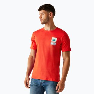 Shirt Herren Regatta ClineIX poppy red cool summer