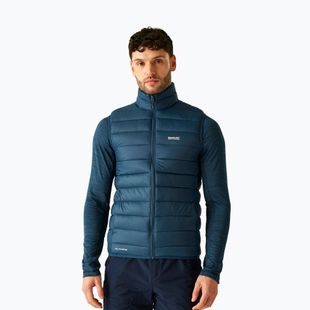 Herrenweste REGATTA Marizion black/white moonlight denim