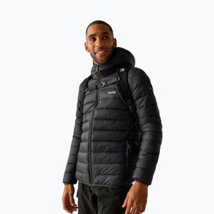 Herrenjacke REGATTA Hooded Marizion ash/gold