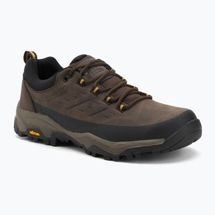 Herren-Trekkingschuhe REGATTA Blake Low peat/wood
